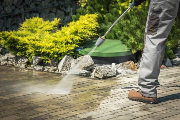 Best Sidewalk and Walkway Cleaning  in Gray, GA